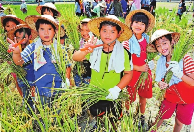 高雄市小学生日前头戴斗笠手持镰刀扮演农夫收割,个个汗水淋漓