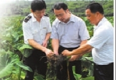 槟榔行业经济总量_槟榔口腔癌图片(3)