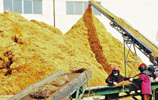 大型秸秆破碎机价格_大型秸秆破碎机价格_大型秸秆颗粒机价格多少